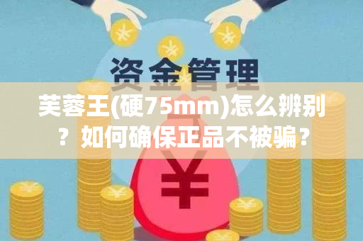 芙蓉王(硬75mm)怎么辨别？如何确保正品不被骗？
